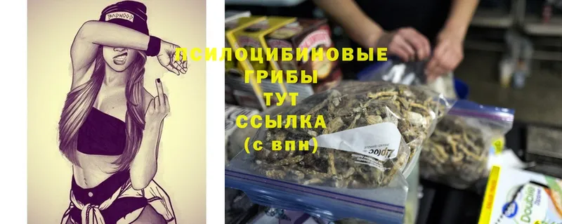 Псилоцибиновые грибы MAGIC MUSHROOMS  Бакал 