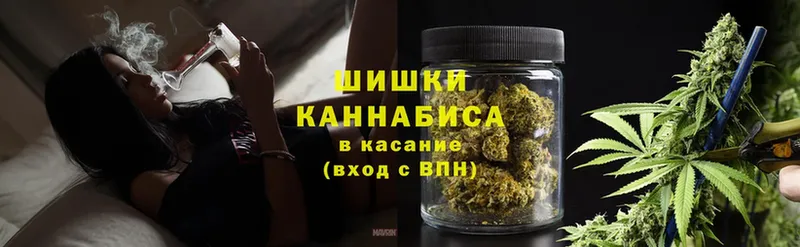 Шишки марихуана SATIVA & INDICA  цены   Бакал 